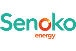 Senoko Energy